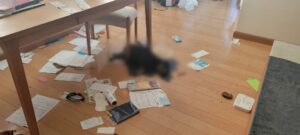 孤独死現場のペットの遺体清掃愛犬火葬