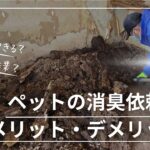 猫消臭 ペット臭い 猫臭い 犬臭い 特殊清掃