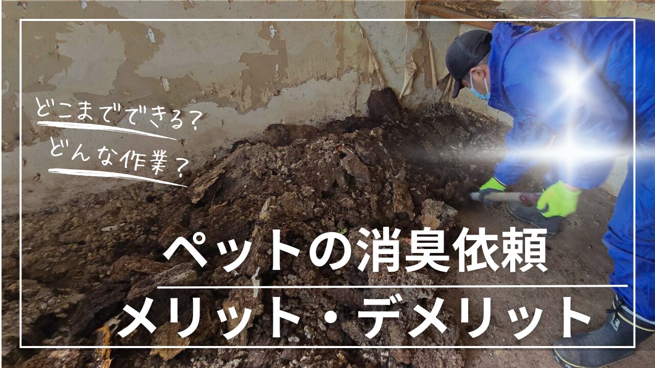 猫消臭 ペット臭い 猫臭い 犬臭い 特殊清掃