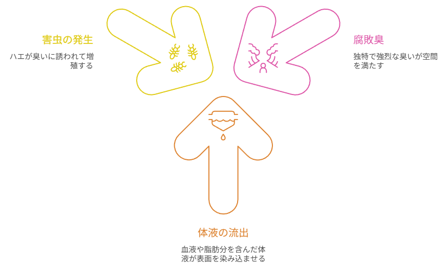 腐敗が進んだ室内状況