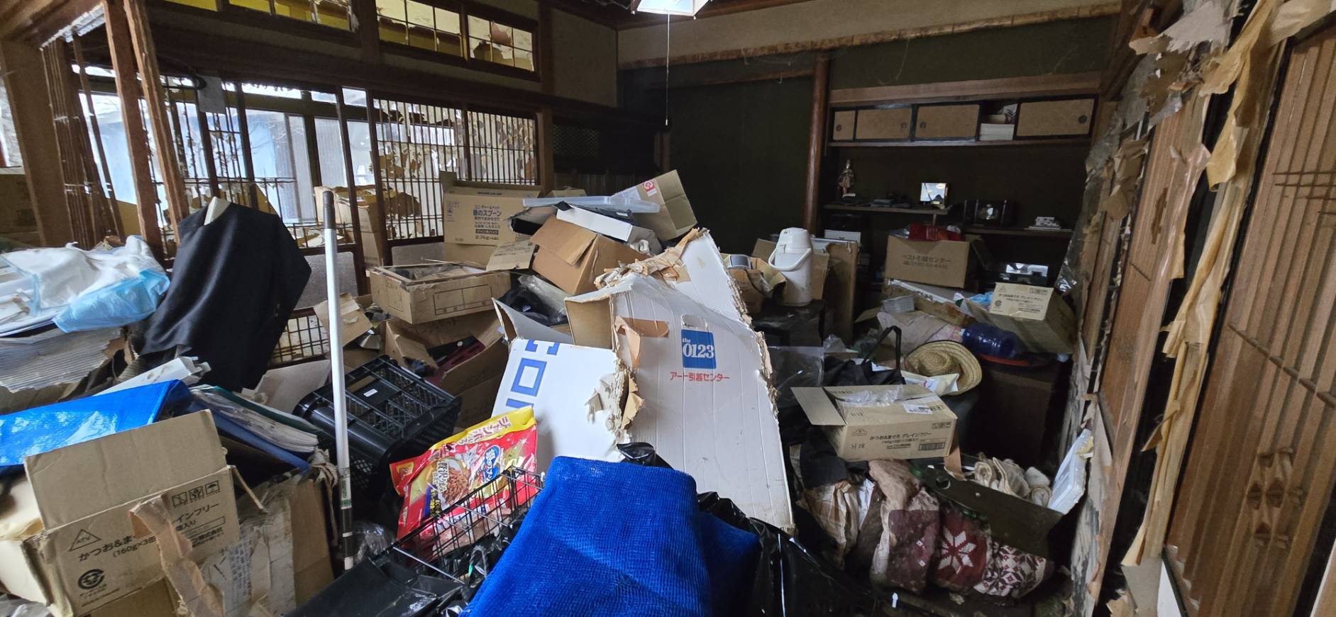 秋田　ペット消臭　猫消臭 特殊清掃