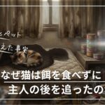 孤独死現場の猫の遺体　特殊清掃の現場