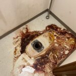 つくば市トイレの孤独死特殊清掃事例