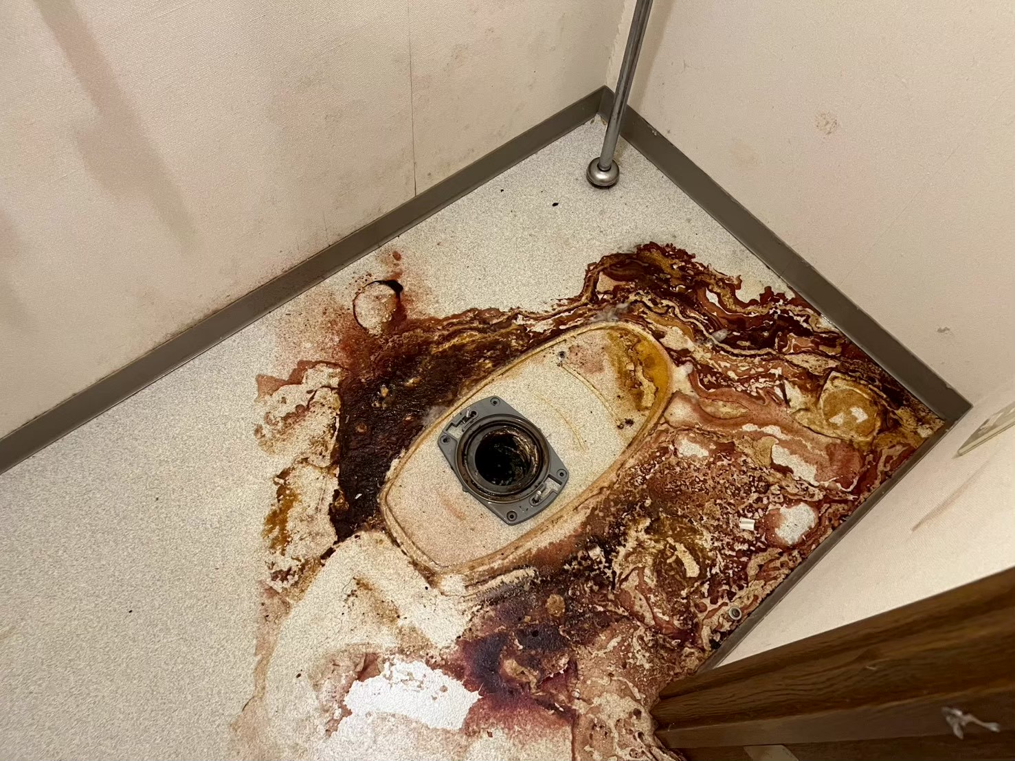 つくば市トイレの孤独死特殊清掃事例