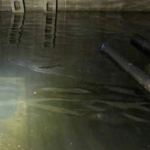 マンション漏水事故 東京都板橋区
